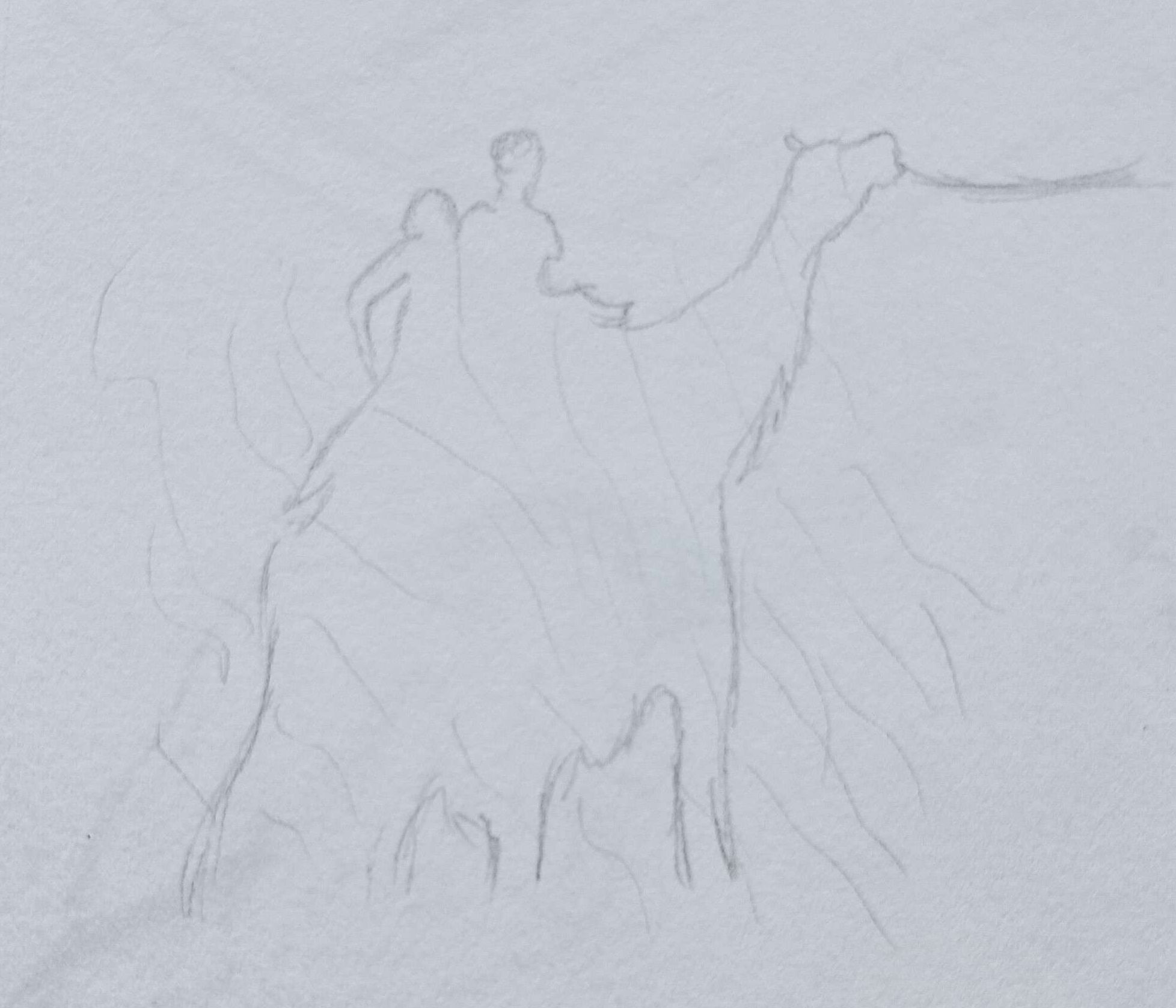 Camel Silhouette-Pencil